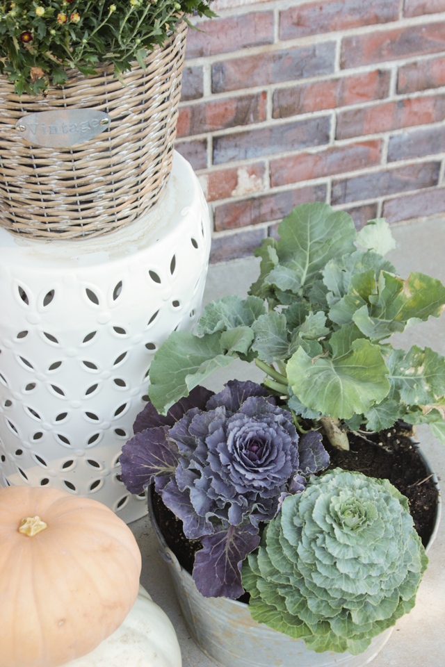 Fall front porch with cabbages, pumpkins, and mums